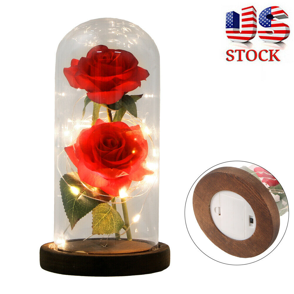 Beauty And The Beast Enchanted Rose In Glass Dome Led Light Usb Lamp Decor Gifts