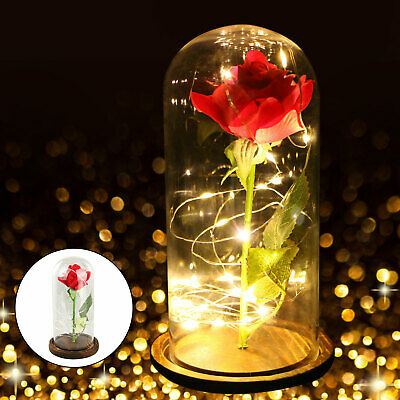 Wr Lighted Beauty And The Beast Enchanted Gold Foil Rose In Glass Dome Love Gift