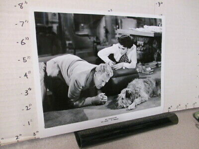 Tv Movie Photo 1963 Mgm Big Hangover Van Johnson Elizabeth Taylor Sheepdog ('50)