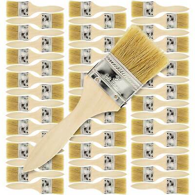 48 Pack - 2" Chip Paint Brushes Stain Glue Adhesive Touchup - 2 Inch Lot Of 48